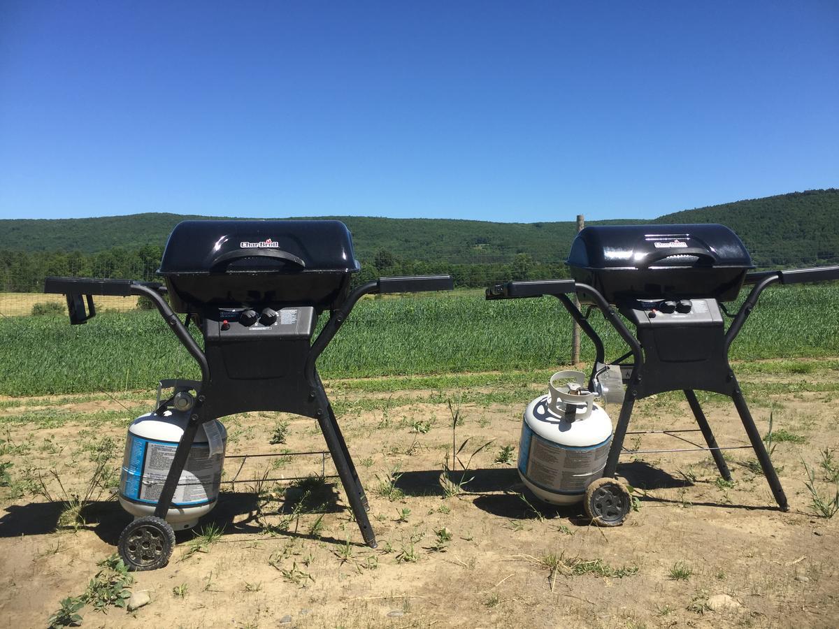 Apple And Cooperstown Area 3* Milford